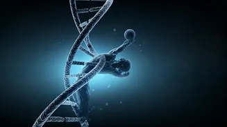 Fitness World Mourns Stephanie Buttermore: A Scientist, Influencer, and Beloved Partner