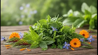 How Bengaluru Wellness Micro-chains Differentiate Menus Using Exclusive Coastal Karnataka Herbal Blends