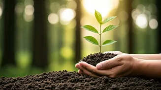 Closer To Nature, Far From Stress