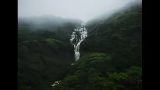 Exploring India During the Monsoon: A Travel Guide