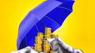 First Mutual Fund Choice: Comparing Volatility In Index Funds And Multi-Cap Options