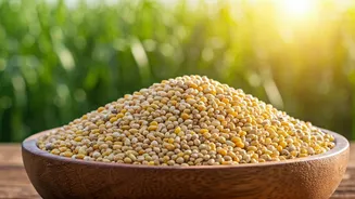 Andhra Pradesh's Millet Revolution: Empowering Women Through Sustainable Food Enterprises