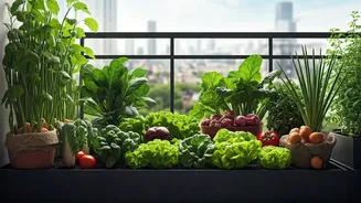 Urban India Grows Its Own
