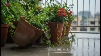 Urban Gardeners Are Upgrading Balcony Drainage to Beat Monsoon Plant Damage