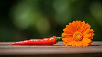 Exotic Origins: 5 Iconic Indian Plants That Actually Came From Abroad
