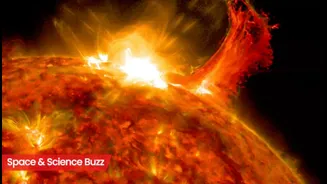 Science & Space Roundup: Top News of the Day (Feb 3)