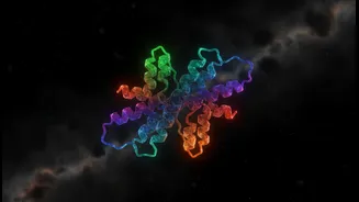 New Metabolism Study Could Matter, But Readers Need The Caveats