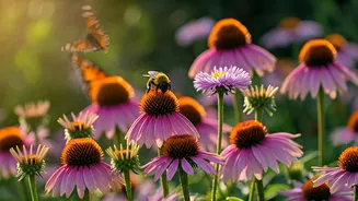 The Buzz Around Pollinator Gardens Grows