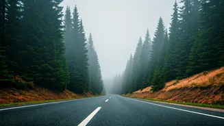 Misty Roads Make North India Even More Magical