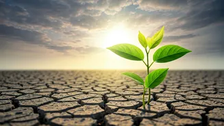 Related Stories banner