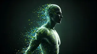 Shedding 10 Kgs in a Month: Is It Realistic & What Are the Risks?