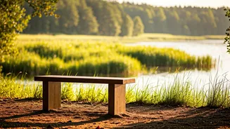 Unplugging Is Becoming A Lifestyle Choice