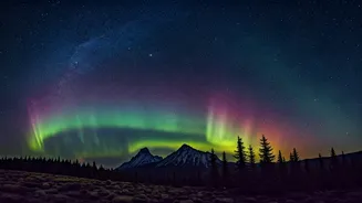 Night Sky Adventures Are Taking Off