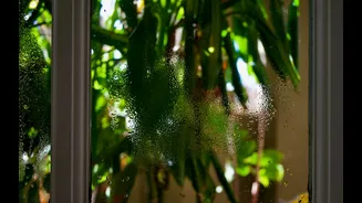 How to Clean Glass Without Streaks in Indian Homes