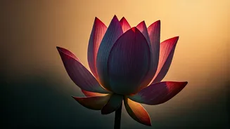 Unlocking Inner Joy: Mata Amritanandamayi's Wisdom on Finding Happiness Within