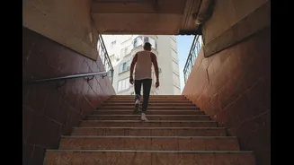 Subir escadas realmente substitui uma caminhada?