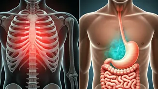 Chest Pain Confusion: Is It Gas or a Heart Problem? Your Guide to Identifying the Cause