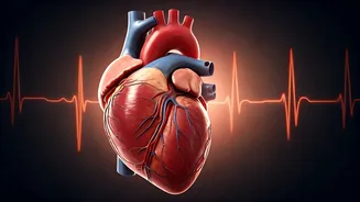 Unveiling Heart Health: Tests to Save Your Life
