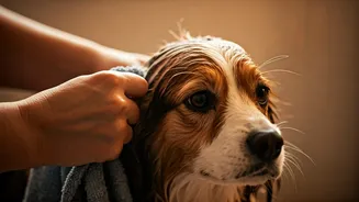 Wet-Coat Care Can Save Skin Trouble Later