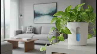 Smart Planters Reduce Daily Watering Needs For Apartment Plant Owners