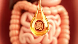 The Body and Ghee: Effects of Dietary Changes