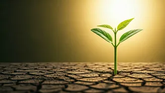 Conquer Self-Doubt: 10 Powerful Strategies for a More Confident You