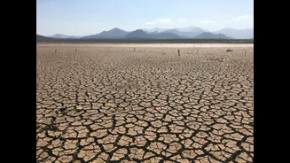Raichai, Assam: Hot and Dry Weather Persists