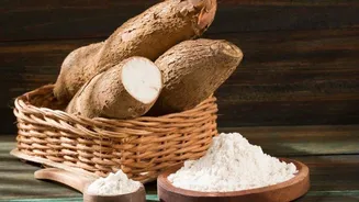 Tapioca lover? These snacks are a must-try