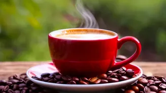 Remote Work Travel: Top Coorg Coffee Estate Stays With Fast Fiber Wi-Fi Connections