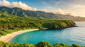 Direct Flights Debut: Chennai to Réunion Island Now Accessible with IndiGo