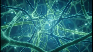 How brain cell skeleton structure function was observed by medical researchers