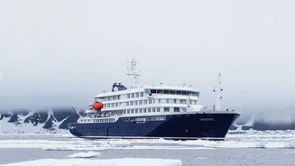 What is Hantavirus and its contagion on cruise ship: What we know so far