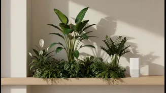Humid Homes Need Decor That Actually Survives