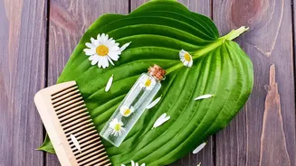 Wellness creators share natural hair and gut remedies using traditional fermented rice water