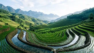Holidaymakers Consider Fresh Travel Choices Outside Thailand