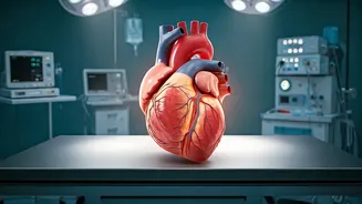 Heart Health: Top Strategies to Prioritize Your Well-being