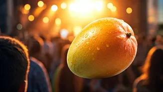 Mango Eating Contests And Live Music Take Over Delhi