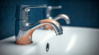 The Pink Bathroom Mystery: It's Bacteria, Not Mould, and Here's How to Beat It!