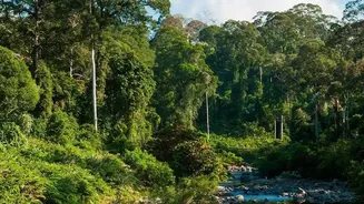 How To Experience Rainforest Photography On Road Trips From Bangalore To Agumbe
