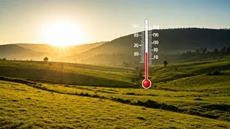 Related Stories banner