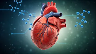 New Cholesterol Guidelines: Start Your Heart Health Journey at 30!