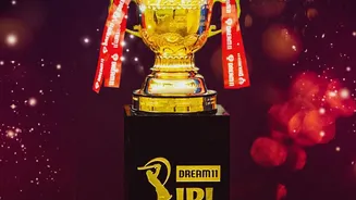 IPL worth $20.6B: How teams make and earn from brands
