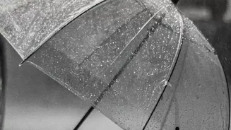Rainy Commute Essentials: Five Habits Worth Building