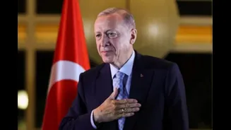 Related Stories banner