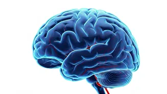 High Blood Sugar & Dementia: A concerning link?