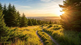 Why Mindful Travel Is Gaining Momentum In India