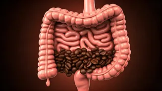 Morning Rituals: Caffeine's Role in Gut Health