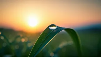 Embrace Your Day: Powerful Morning Affirmations for a Calmer, More Confident You
