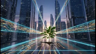 How high-paying AI-proof career roles provide long-term employment stability for youth workers
