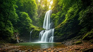 Map Hidden Waterfall Trails Dense Wayanad Forests First Rains Look